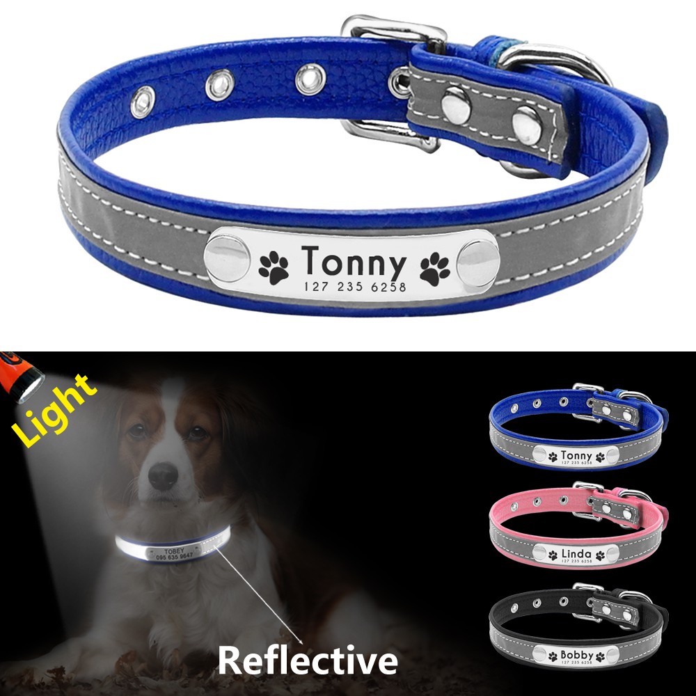 engraved pet collars