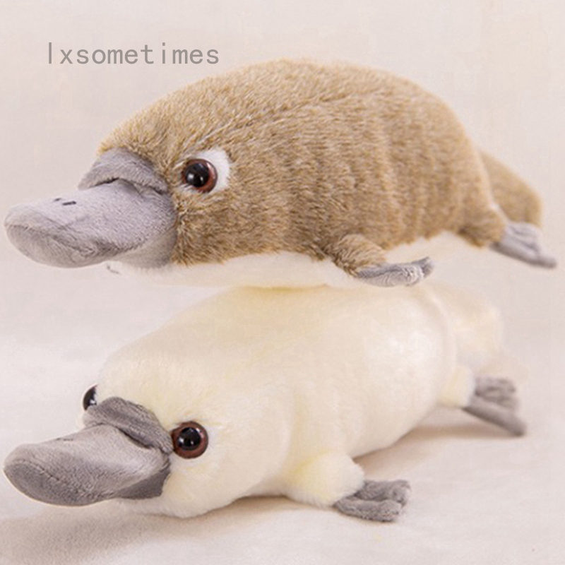 platypus doll