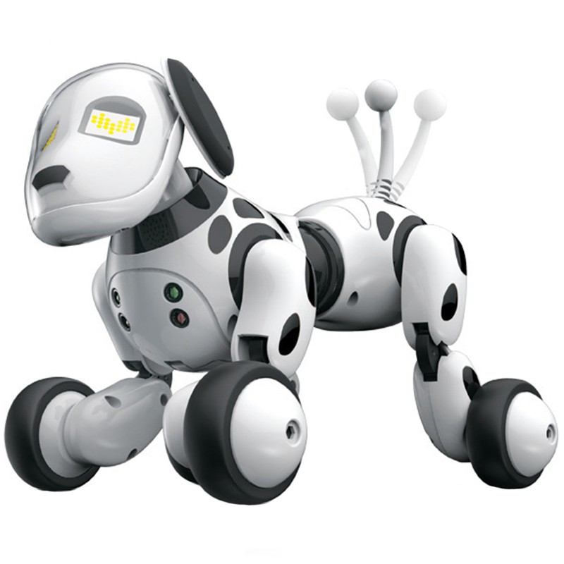 rc robot dog
