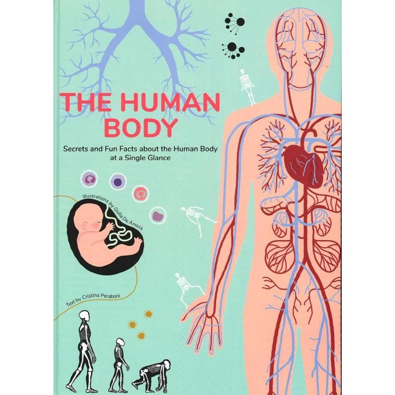 NEW - Human Body:Secrets and Fun Facts About the Human Body at a Single ...