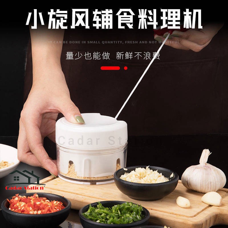 SW_Multifunctional meat grinder garlic masher vegetables meat chopper household blender