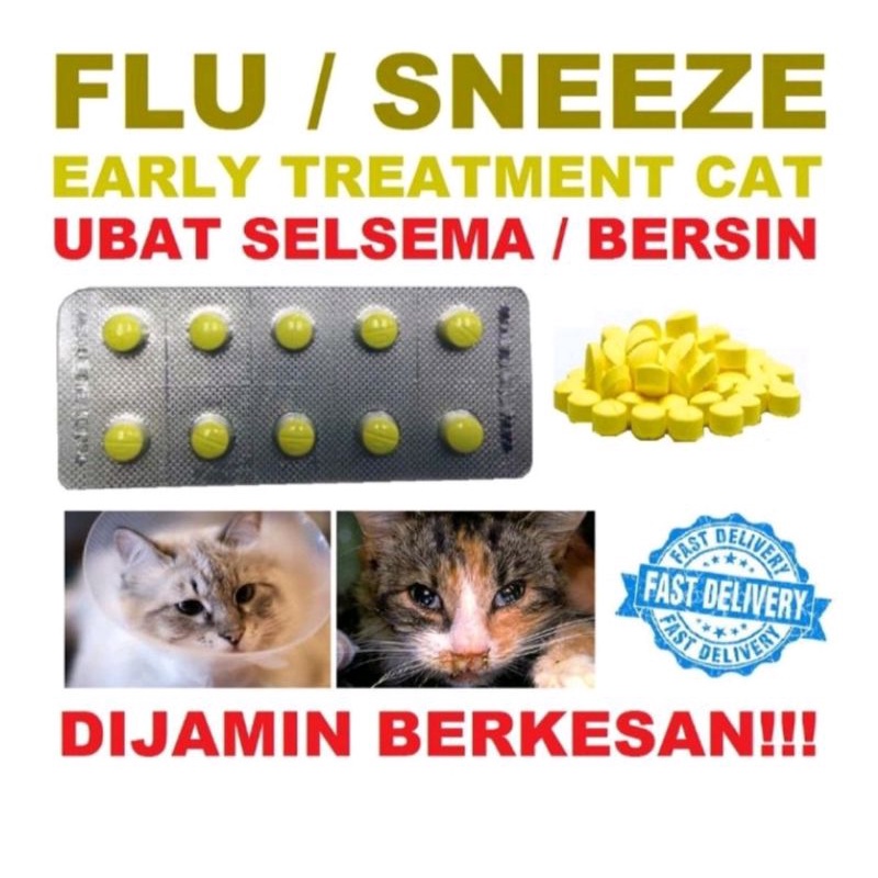 Buy 1 Biji UBAT SELSEMA KUCING PALING BERKESAN CEPAT KUNING CAT PET FLU