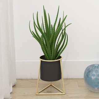 Metal Flower Pot Stand Gold Plant Rack Nordic Iron Pasu Metal Flower Pot Stand Gold Plant Rack Nordic Iron Pasu