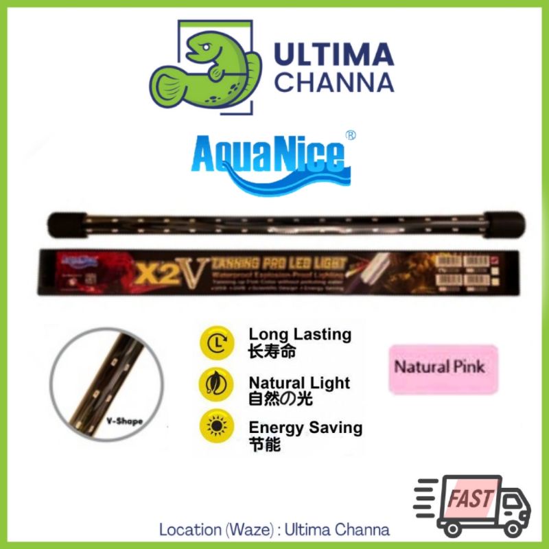 Aquanice X2 V Explosion Proof Tanning Pro LED Submersible Aquarium