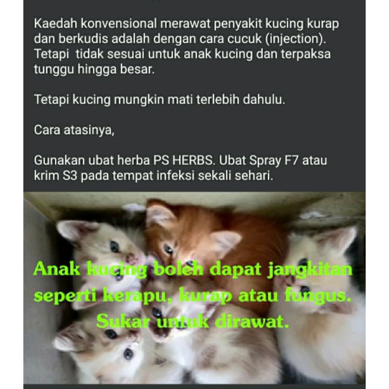 Spray F7 Ps Herbs Untuk Kucing Haiwan Manusia Bagi Rawatan Kudis Kurap Luka Sporo 40ð¦ð¥ Shopee Malaysia