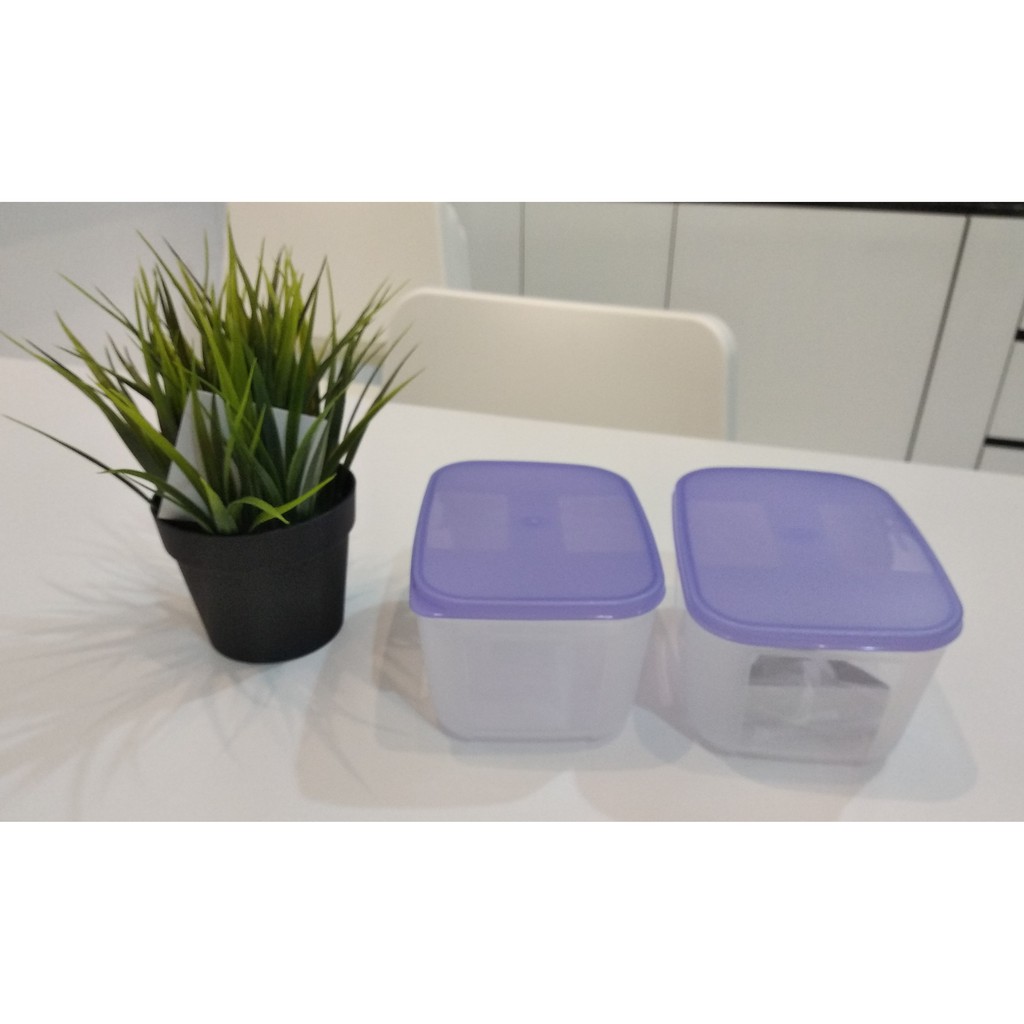 Tupperware Freezer Mate Small (1) 650ml - Berry Plus