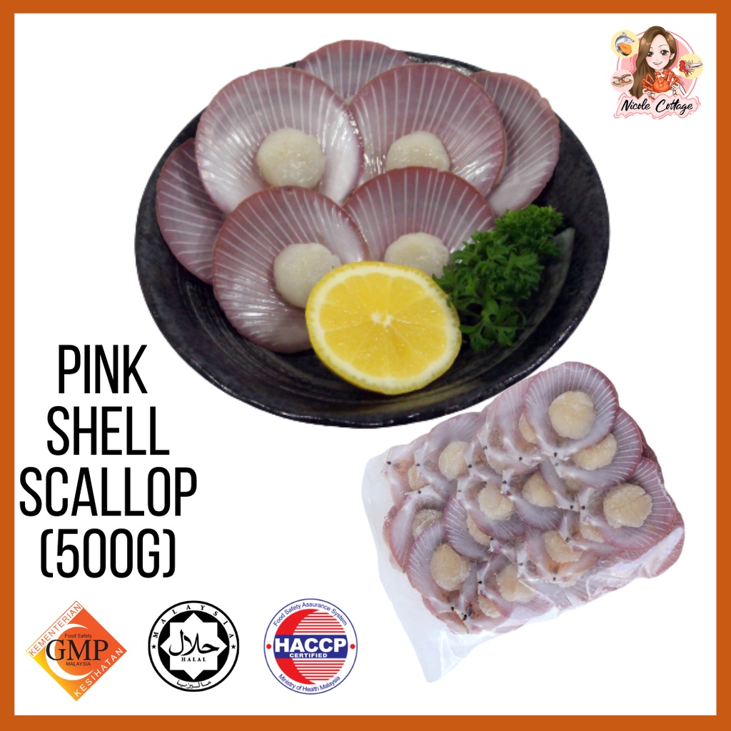 Frozen Scallop/Scallop Half Shell 500G Shopee Malaysia