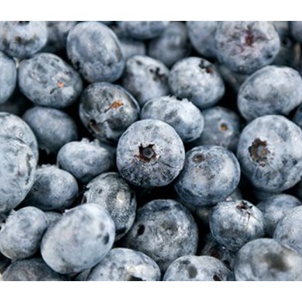 (KLANG VALLEY ONLY) FROZEN BLUEBERRIES  冷冻蓝莓1KG