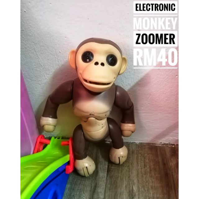 monkey zoomer