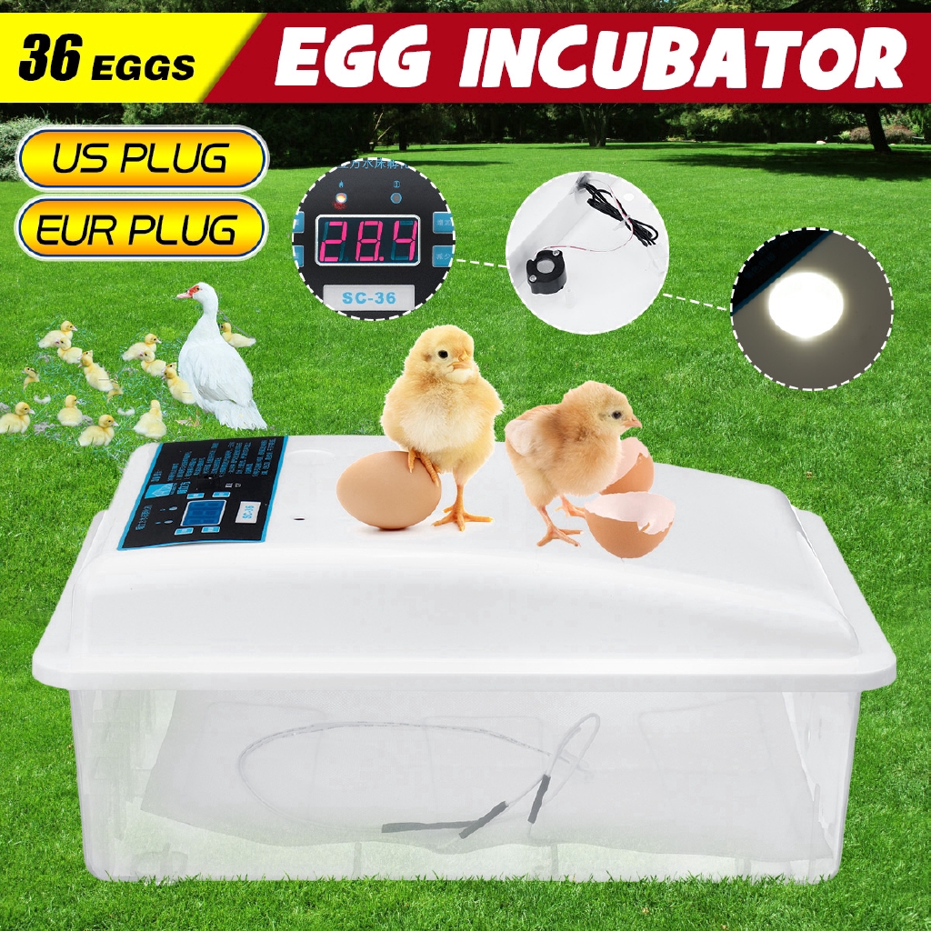 36 Eggs Turning Incubators Chicken Hatcher Temperature Control for