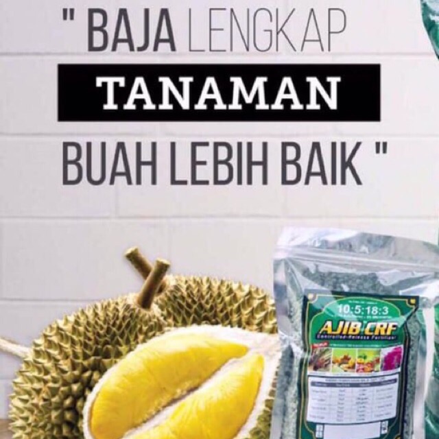 Baja Durian Mothong Duri Hitam D24 Musang King D88 Dll Pack 1kg Original 100 Shopee Malaysia