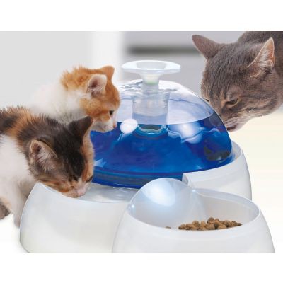 catit food bowl
