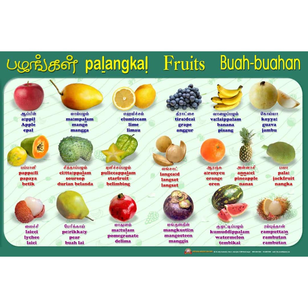 Buy FRUITS-CHART (TRILINGUAL) BAHASA MELAYU - ENGLISH - TAMIL 