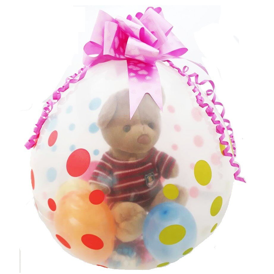 teddy in balloon