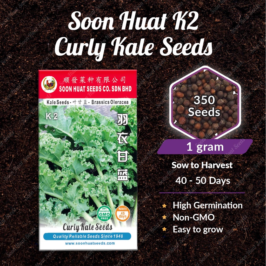 Benih Curly Kale Seeds K2 [350 seeds/3,500 seeds] Soon Huat Seeds