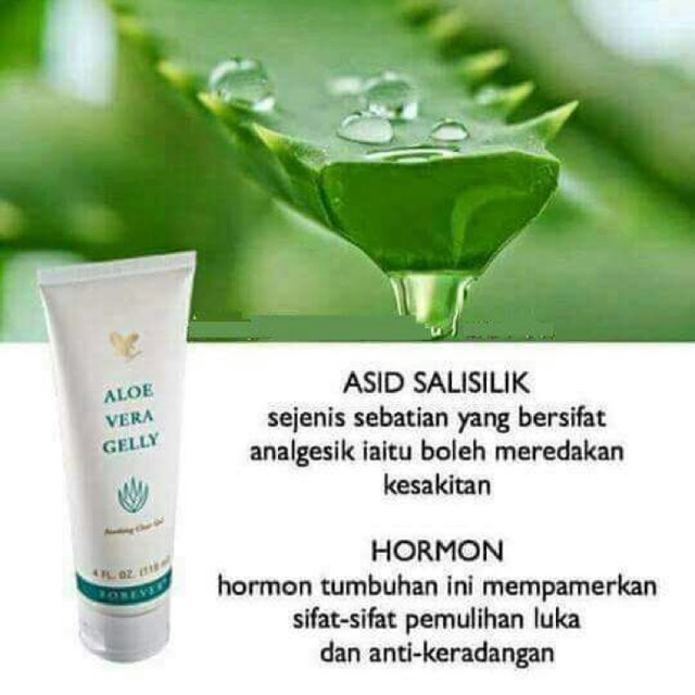 Forever Living Aloe Vera Gelly