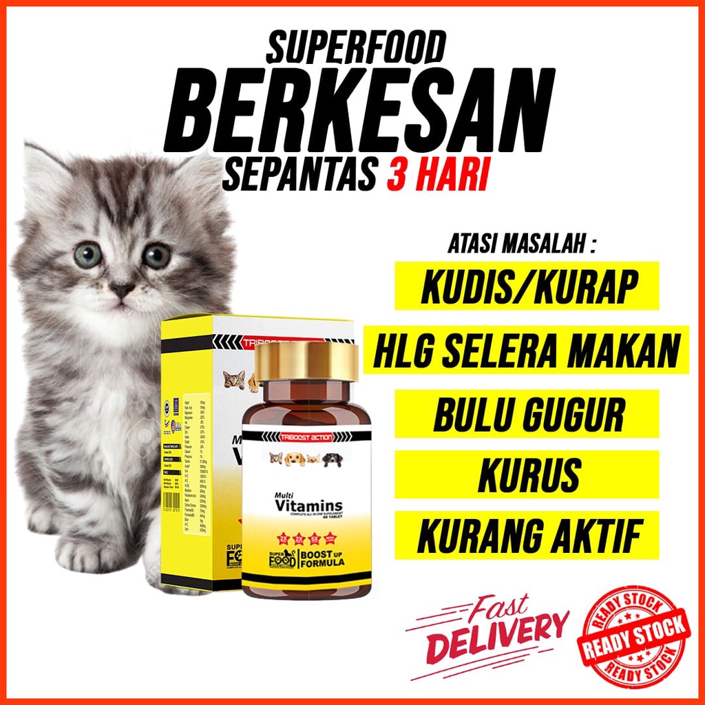 SUPERFOOD BOOST UP FORMULA CAT VITAMIN , KURAP , LEBAT BULU , GEMOK