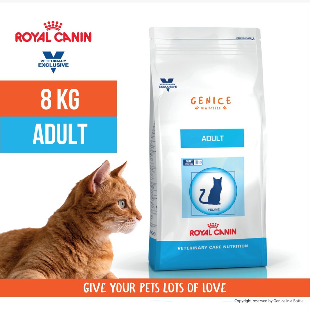royal canin mature cat