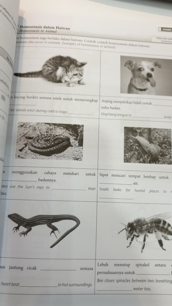 EHUBZ] MODUL PAK21 KSSM SAINS (DWIBAHASA) TINGKATAN 1,2,3,4,5 