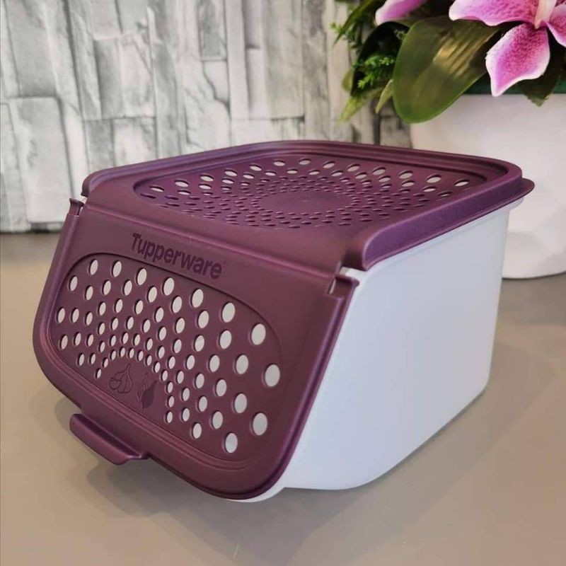 LIMITED!!! Tupperware Garlic Keeper 2.3Liter | Shopee Malaysia