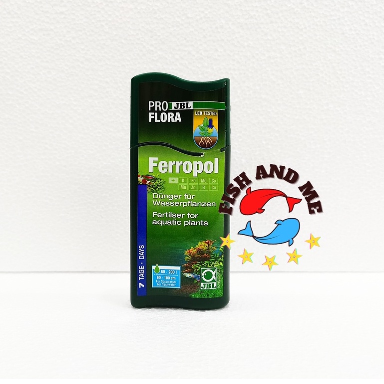 8-Quart Digital Air Fryer