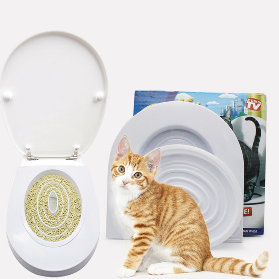 cat toilet training system