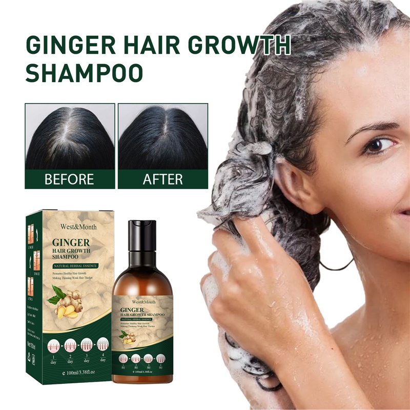 Ginger Hair Growth Shampoo Hair Care Oil Control Repair Promotes Hair Thicker Antihair Loss