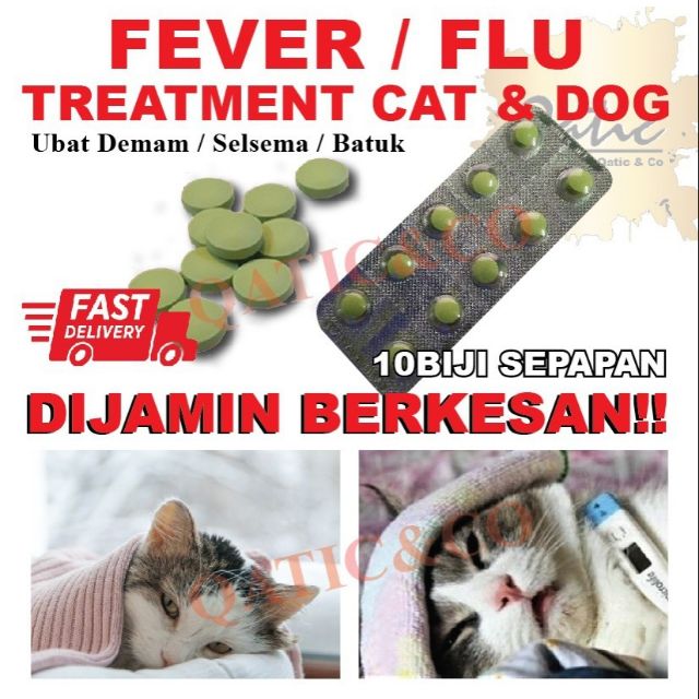 Ubat Demam Selsema Kucing & Anjing / Fever Cough Cold Loss 