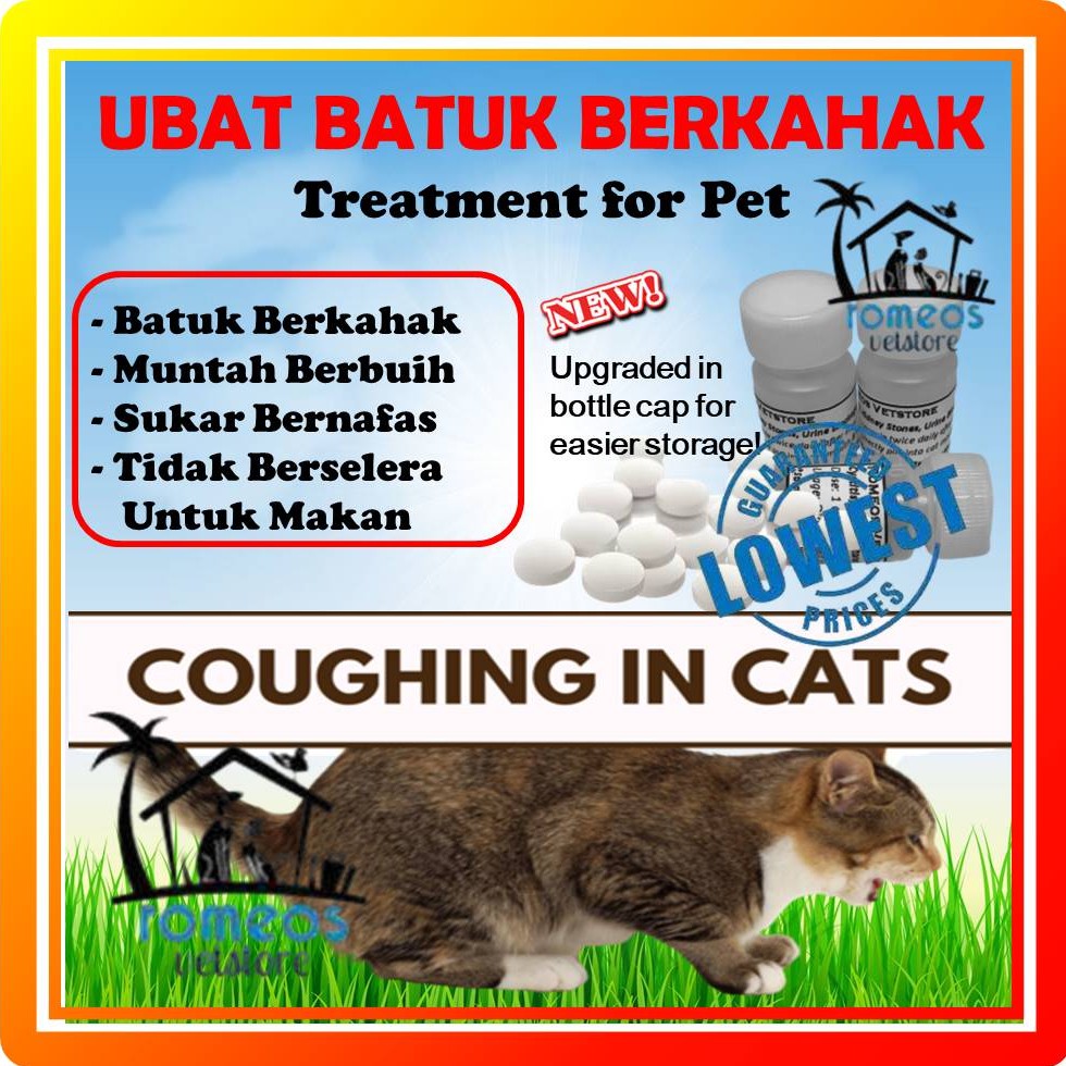 Ubat Kucing Batuk Dan Selsema - Kicau Sejati