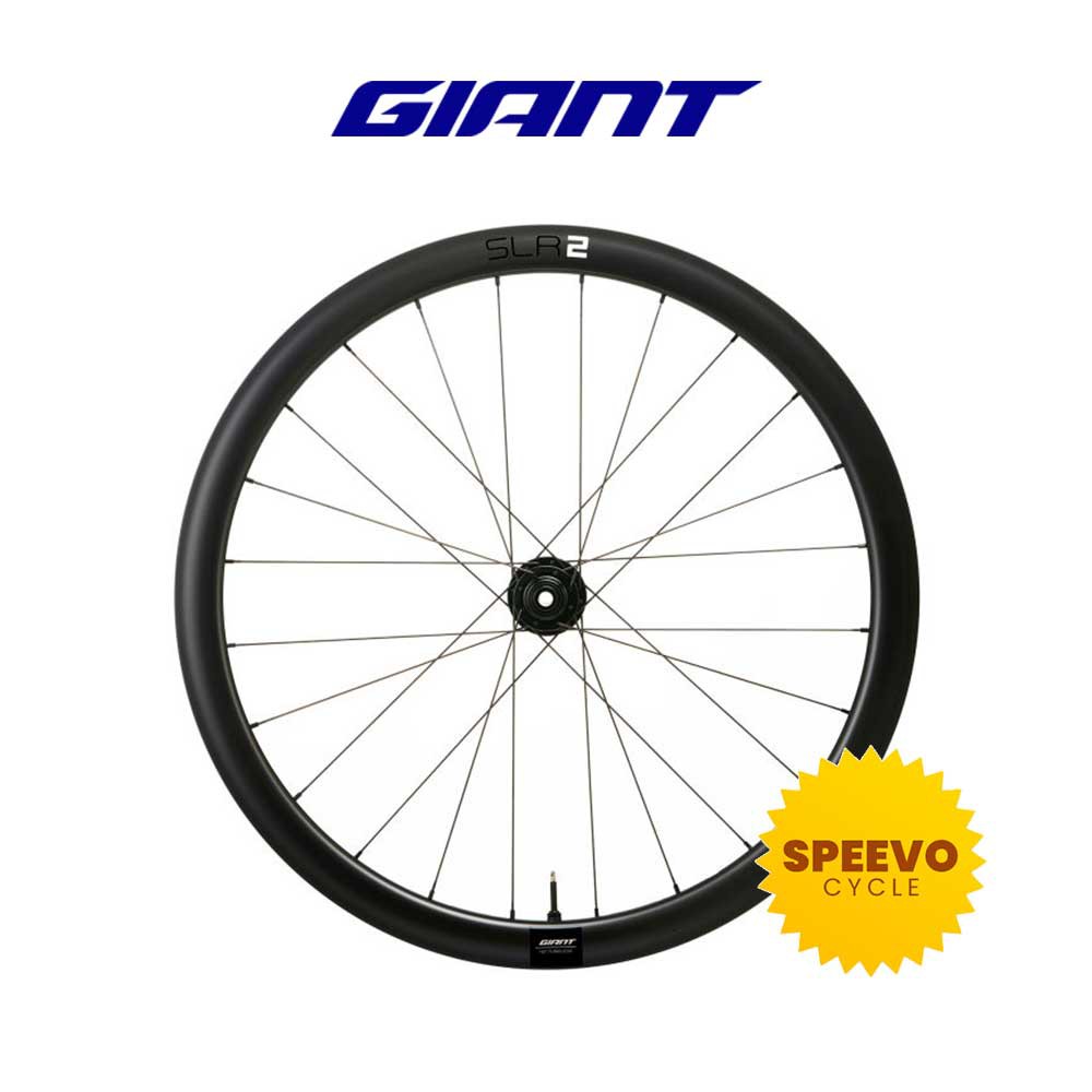 giant slr 2 42 disc