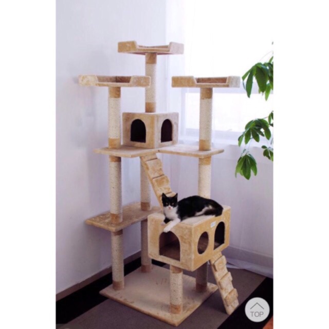 extra large cat tree