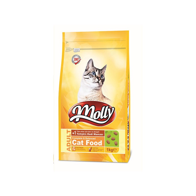 molly cat food