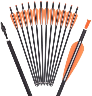 6/12pcs Archery Hunting Carbon Arrows 8.5"/16"  SP350 Vane Arrow Target Practise