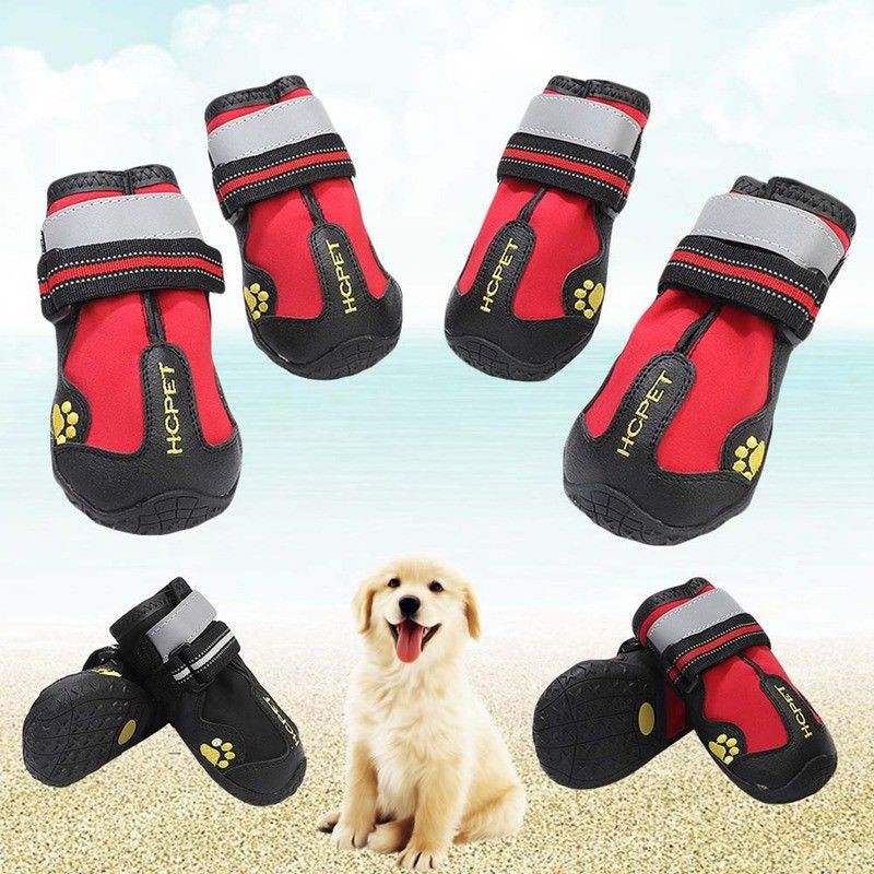 dog shoes shopee
