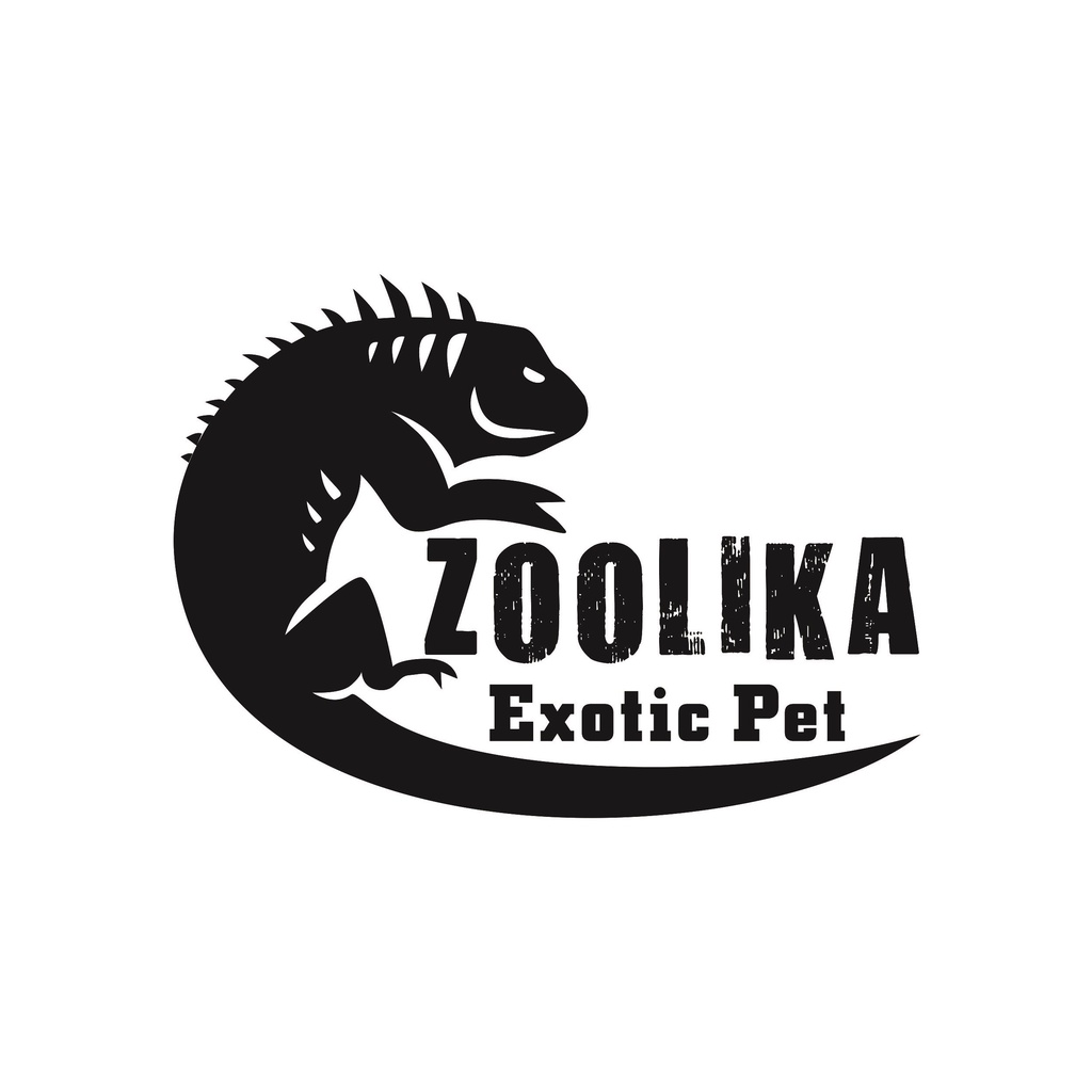 Zoolika Exotic Pet, Online Shop Shopee Malaysia