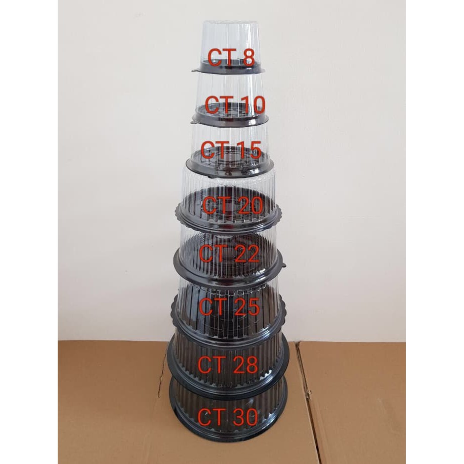 Mika Tumpeng Mini Ct 15 Mika Tumini Cake Tray Mika Round Tart Cake 15 Shopee Malaysia