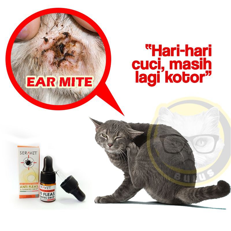 Buy Sepantas 2 jam Hapus Kutu dan Ear mite Anti Flea Ubat Kutu 