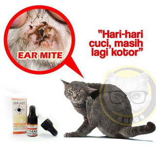 5M Thick Scratch Rope Cat Tree Tali Cakar Kucing Tebal 6mm Hemp 