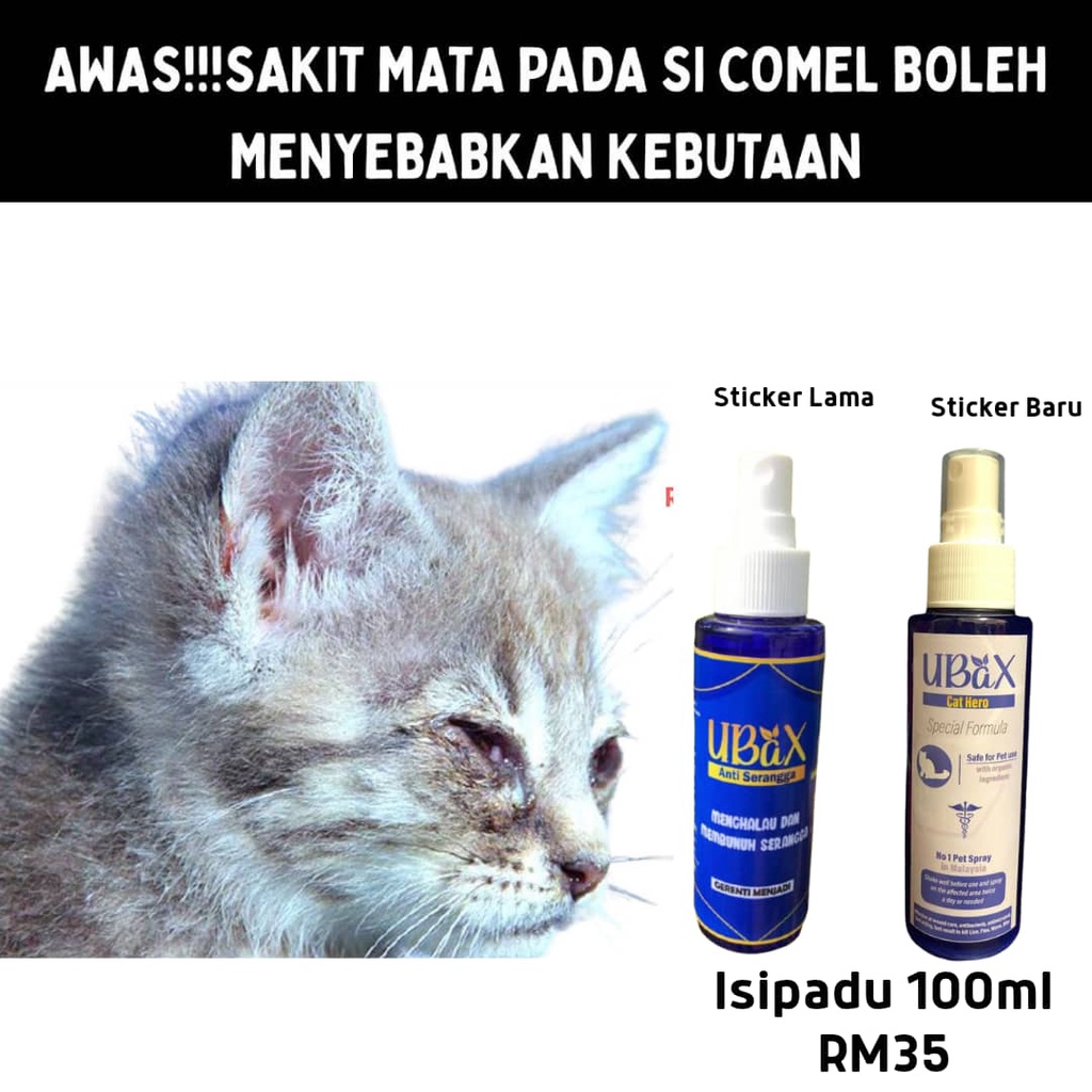 Ubax Spray Untuk Kucing Kutu Hama Selsema Scabies Luka Bukan Sporo Sakit Mata Mata Berair Ready Stok Shopee Malaysia