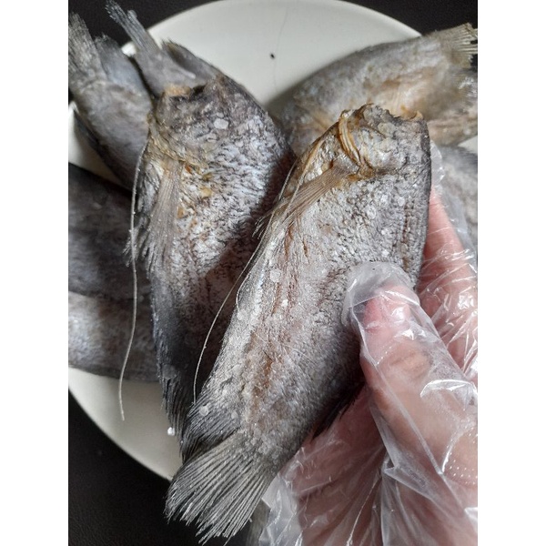 Ready Stock Ikan Sepat Masin 1kg