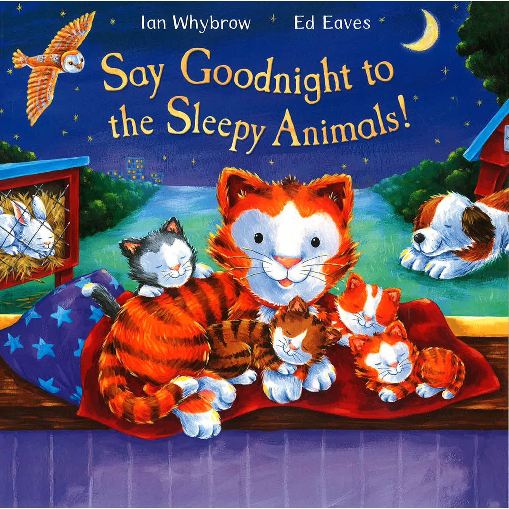 bbw-say-goodnight-to-the-sleepy-animals-isbn-9780230749900