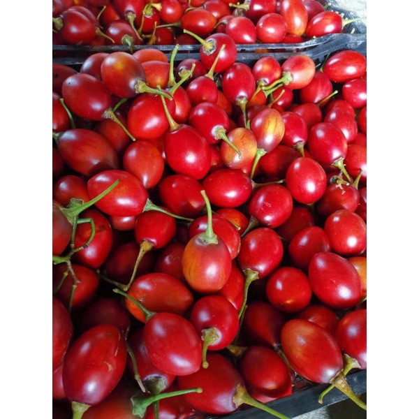 Cameron Highlands buah cinta❤️❤️free few pcs per order✨ 自家种植金马伦爱情果