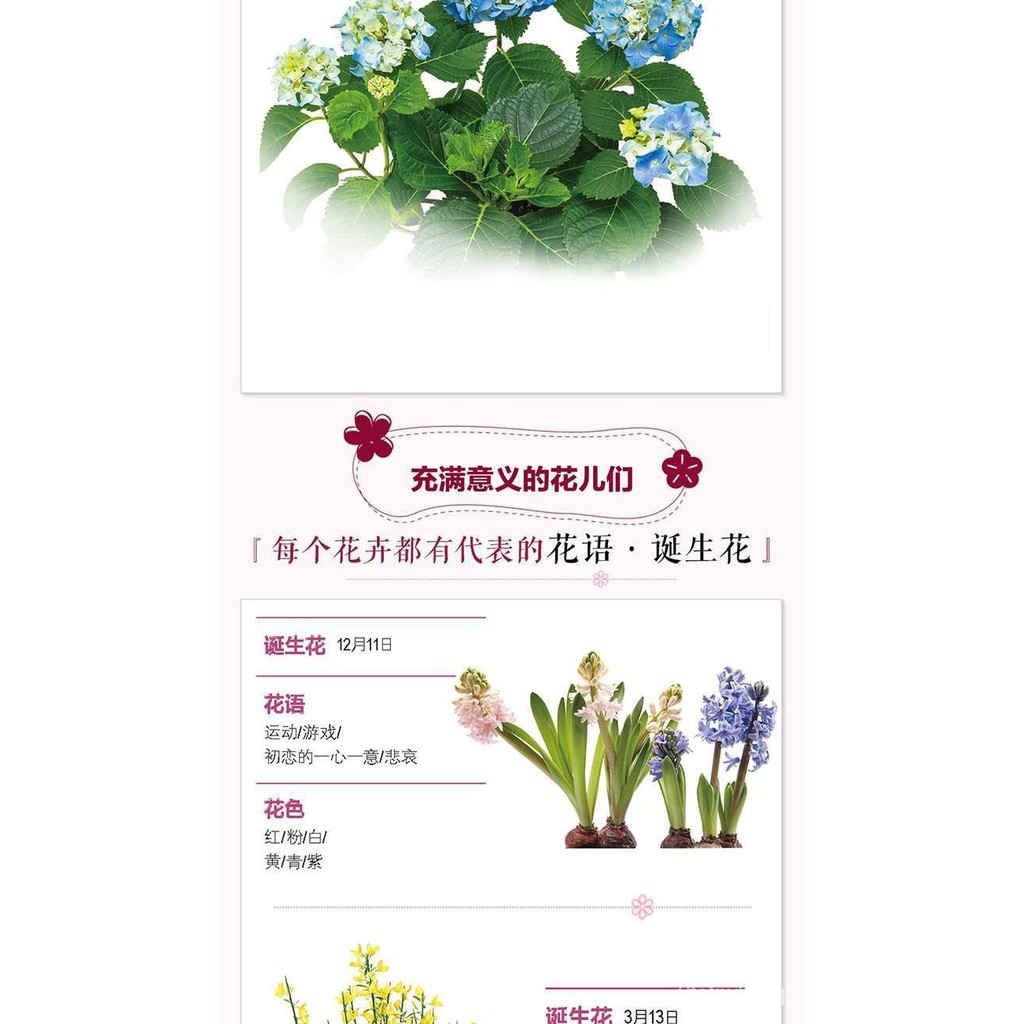 Chinese Book Social Science 花与花语184种常见四季花卉手册常见花卉花语含义解读大全图书籍 Shopee Malaysia