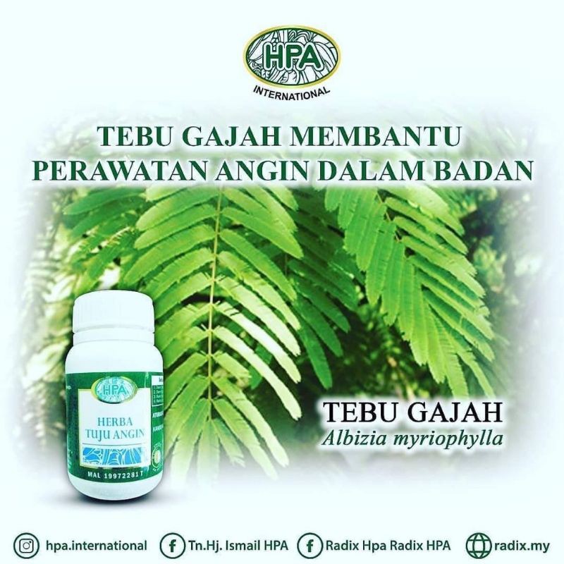 Herba Tuju Angin Hpa 75 Bj Shopee Malaysia 9074