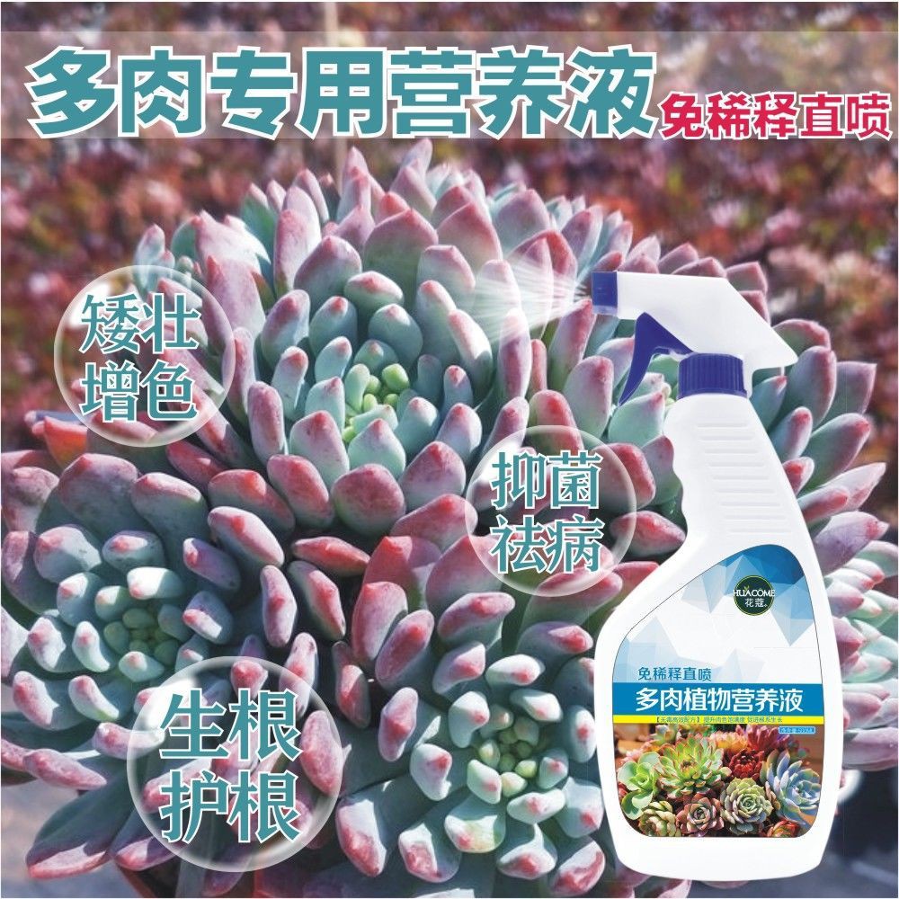 Buy 植物营养液多肉营养液多肉植物专用直喷花肥料通用营养液花土营养土通用种花 Seetracker Malaysia
