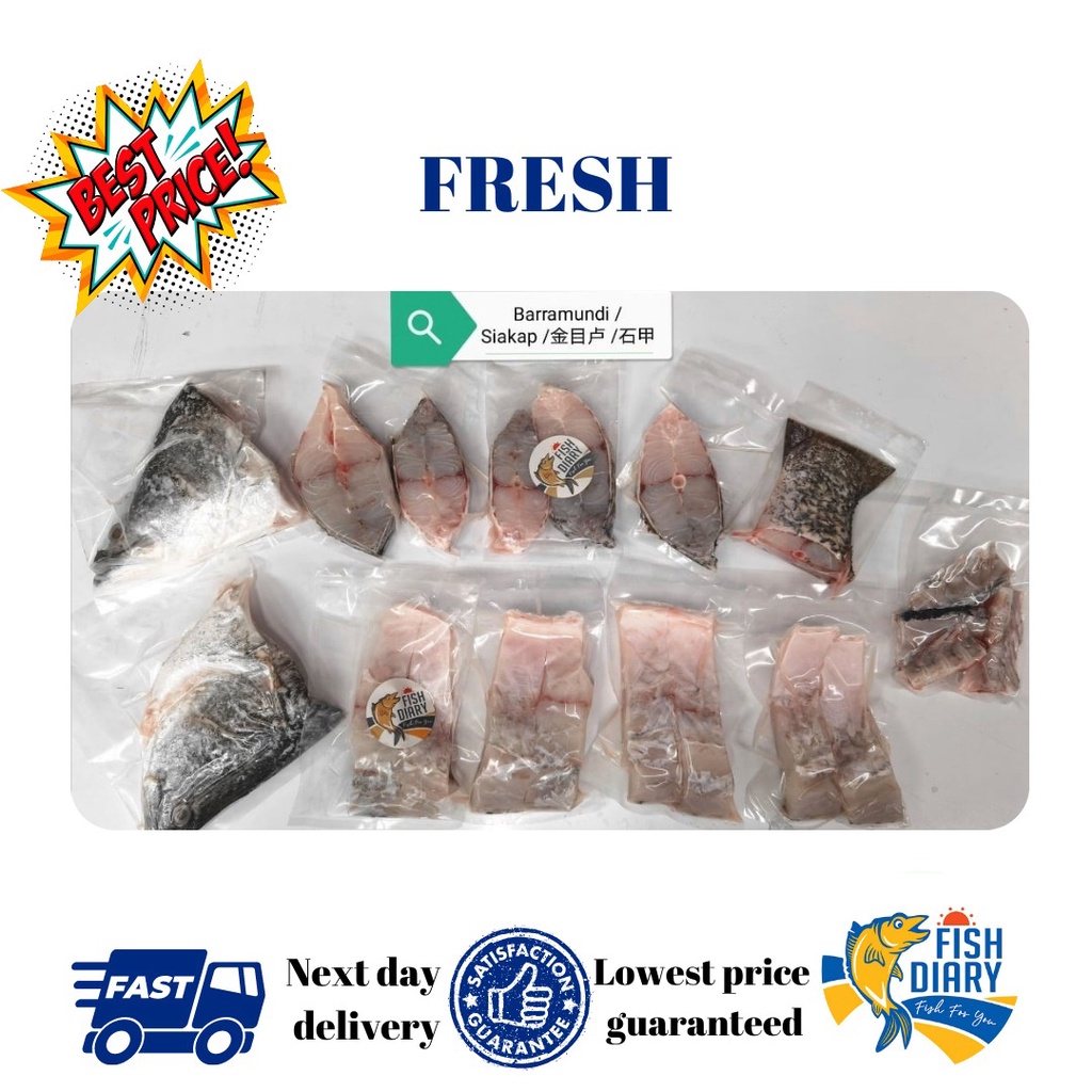 【Penang area only】🔥FRESH 🔥 PREMIUM Barramundi ( Siakap ) 2.4KG to 2.5KG+- (FREE DELIVERY for purchase RM120+)