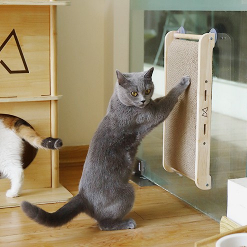cat scratcher shopee