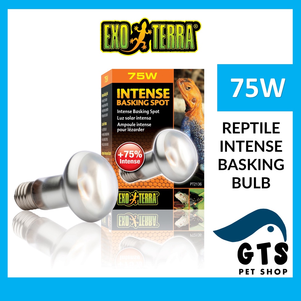 Exo Terra Intense Basking Light Bulb Spot Reptile Heat lamp 75W PT2136