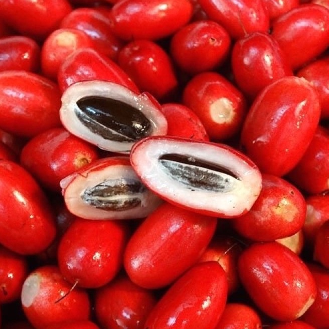 Promosi????Fresh Miracle berry / Magic Fruits / Buah Ajaib / 神秘果