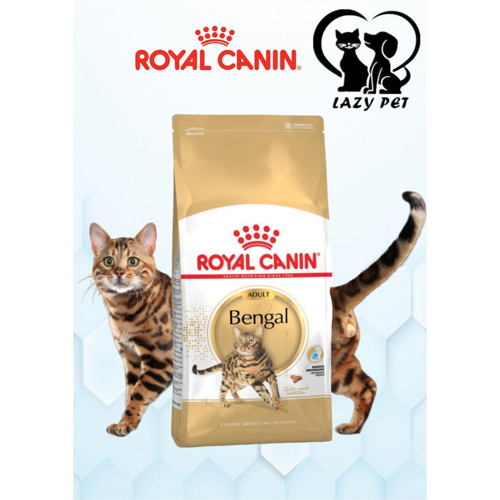royal canin for bengal cats